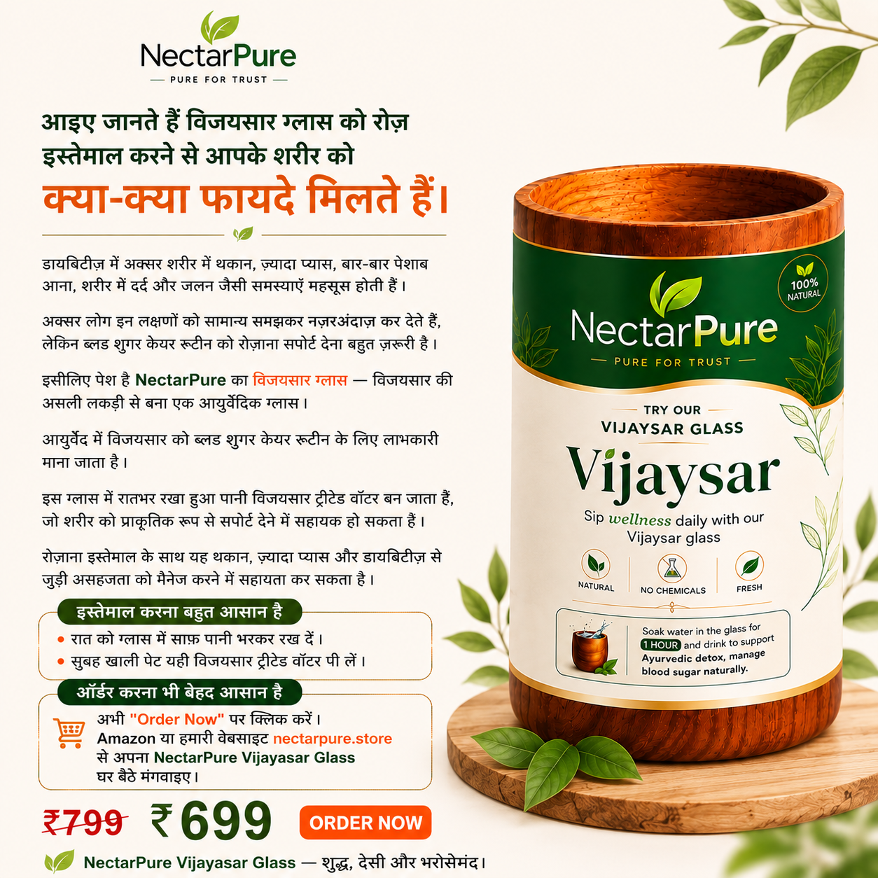 NectarPure Vijaysar Glass Details